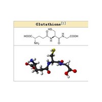 70-18-8 GSH Glutathione