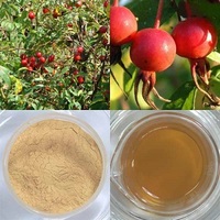  Rose hip Extract Polyphenols 10%
