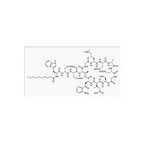 Daptomycin