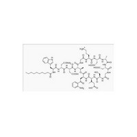 103060-53-3 Antibiotics Product Daptomycin