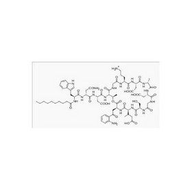 Daptomycin