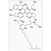 162808-62-0 lipopeptide Antifungin Product Caspofungin