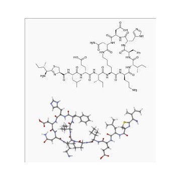 antibiotic product Bacitracin