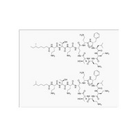 Antibiotics Polymyxin B