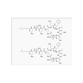 Antibiotics Polymyxin B