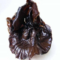  Auricularia auricular Collagen