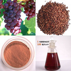 Grape Seed Extract OPC