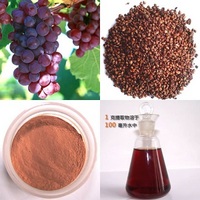 Grape Seed Extract OPC 95%