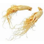 Panax Ginseng Root Powder