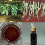 Panax Ginseng Root Oil