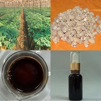  American Ginseng Root Oil