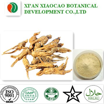 Ginseng Root Extract Powder