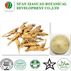 Ginseng Root Extract Powder