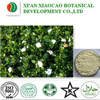 Cape Jasmine Fruit Extract