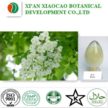 Sophora japonica extract rutin NF11 95%