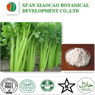 Celery Extract Apigenin
