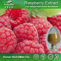 100% Natural Raspberry Extract Raspberry Ketone 4%