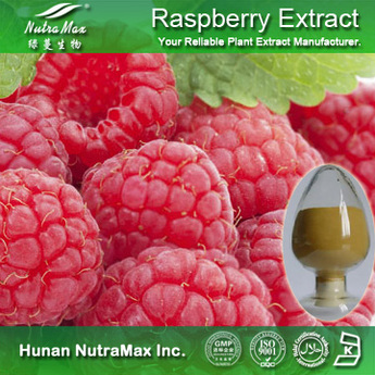 100% Natural Raspberry Extract Raspberry Ketone 4%