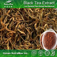 100% Natural Black Tea Extract Polyphenols 20%-95%