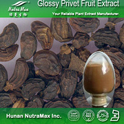 100% Natural R Glossy Privet Fruit Extract  Oleanolic Acid 10%~98%