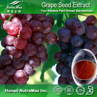 100% Natural Grape Seed Extract OPC 95%