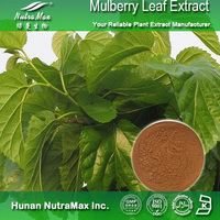 100% Natural Mulberry Leaf Extract 1-DNJ 1%~20%