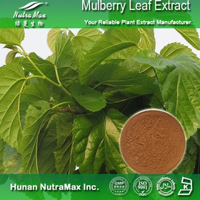 100% Natural Mulberry Leaf Extract 1-DNJ 1%~20%