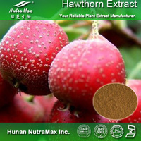 100% Natural Hawthorn Extract Flavones 5%-90%
