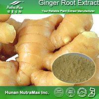 100% Natural Ginger Root Extract Gingerol 5%