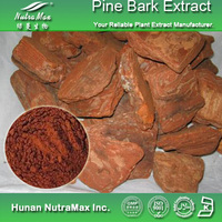 100% Natural Pine Bark Extract OPC95% 