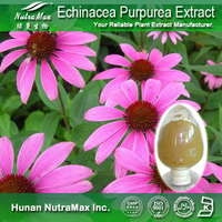 100% Natural Echinacea Purpurea Extract Polyphenols 4%