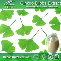 100% Natural Ginkgo Biloba Leaf Extract 24/6