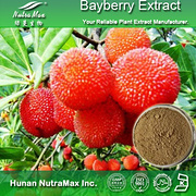 100% Natural  Bayberry Extract Myricetin 80%, 90%, 98%