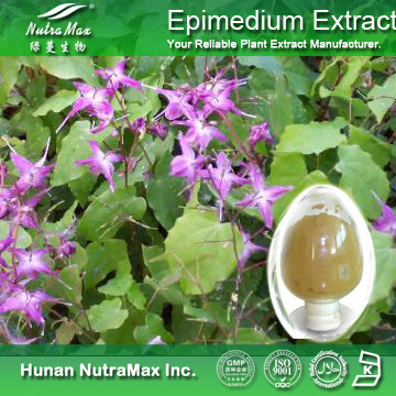 100% Natural Epimedium Extract Icariin 5%~98% 