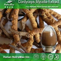 100% Natural Cordyceps Sinensis Extract Polysaccharides 10%-50%