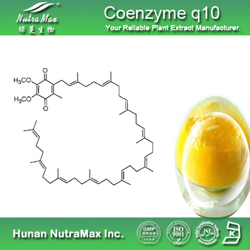 100% Natural Coenzyme q10 Powder