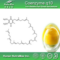 100% Natural Coenzyme q10 Powder