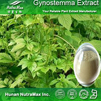  100% Natural Gynostemma Extract Gypenoside 50%~98%