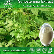  100% Natural Gynostemma Extract Gypenoside 50%~98%