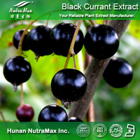 5%~25% Anthocyanidin Black Currant Fruit Extract: