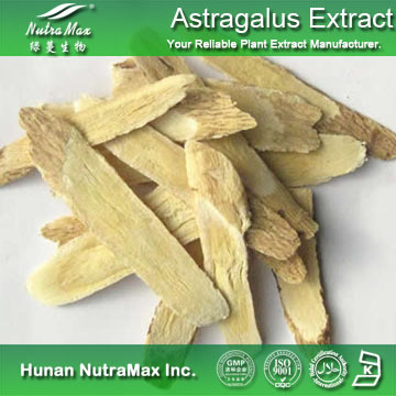 Nutramax Supplier - Astragalus Extract Polysaccharides 40%~70%