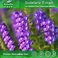 Nutramax Supplier -Scutellaria extract80~95% Baicalin 