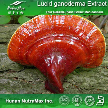 100%Nutramax Supplier - Ganoderma Lucidum Extract Ganoderan10%~60% UV