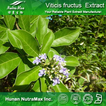 100%Nutramax Supplier - Fructus Viticis extract Vitexin 5%  