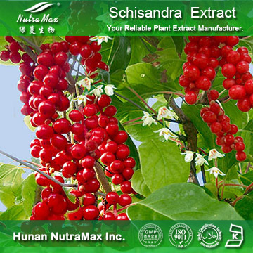 100%Nutramax Supplier - Schisandrins 2% 9% Fructus Schisandra Chinensis Extract