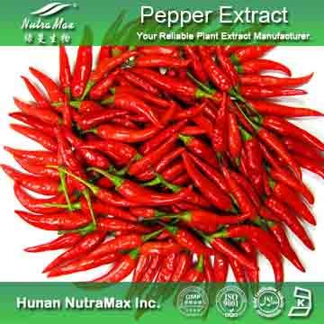 100%Nutramax Supplier - chili pepper extract20%-98% Capsaicinoids 