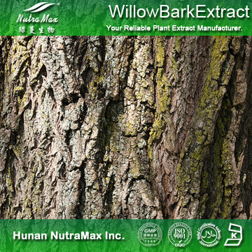 White Willow Bark extract 10% - 98% Sallcin