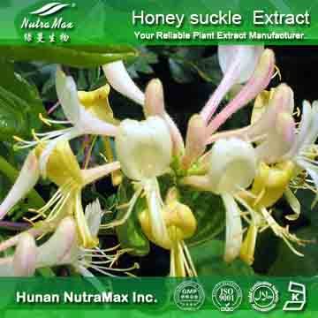100%Nutramax Supplier - HoneySuchle Flowers Extract5%~98% Chlorogenic acid