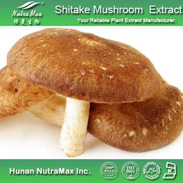 100%Nutramax Supplier -Shitake Mushroom Extract