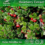 100%Nutramax Supplier -Bearberry Extract